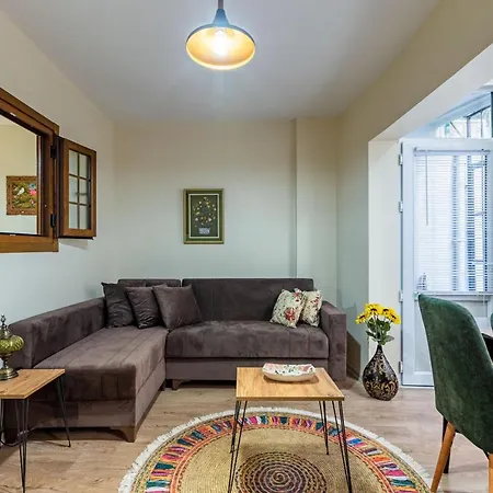 Colorful Flat With Backyard Close To Taksim Square Διαμέρισμα Κωνσταντινούπολη