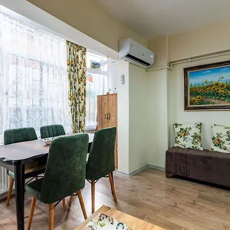 Colorful Flat With Backyard Close To Taksim Square