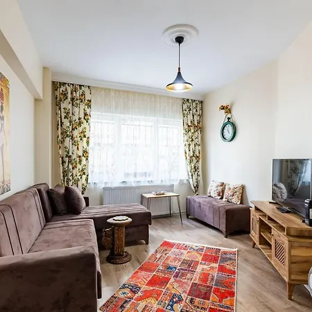 Colorful Flat With Backyard Close To Taksim Square Appartement
