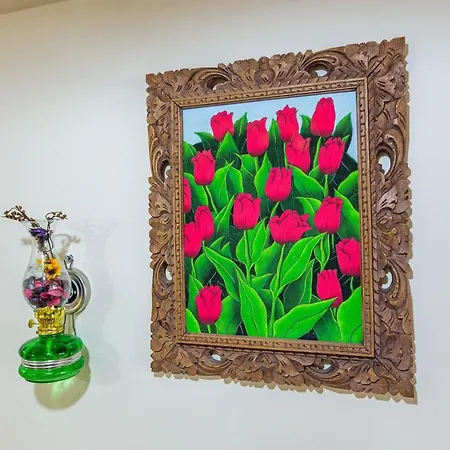 Colorful Flat With Backyard Close To Taksim Square Istambul